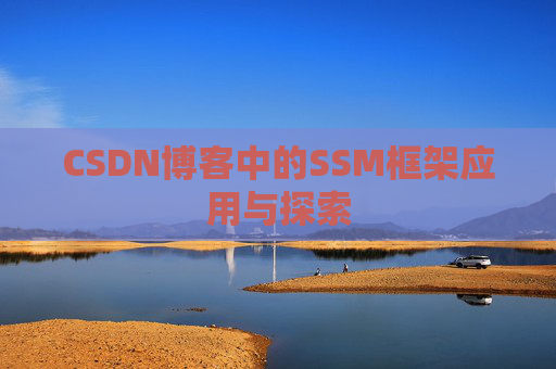 CSDN博客中的SSM框架应用与探索